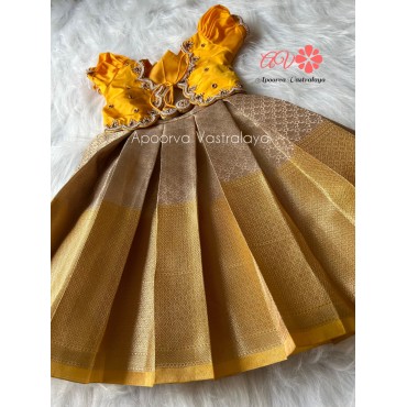 Tissue SIlk Aari Overcoat Pattern Gown